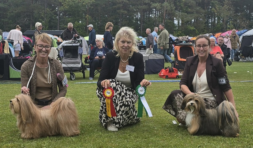 Oscar BIR med CACIB, Gotland 2026
